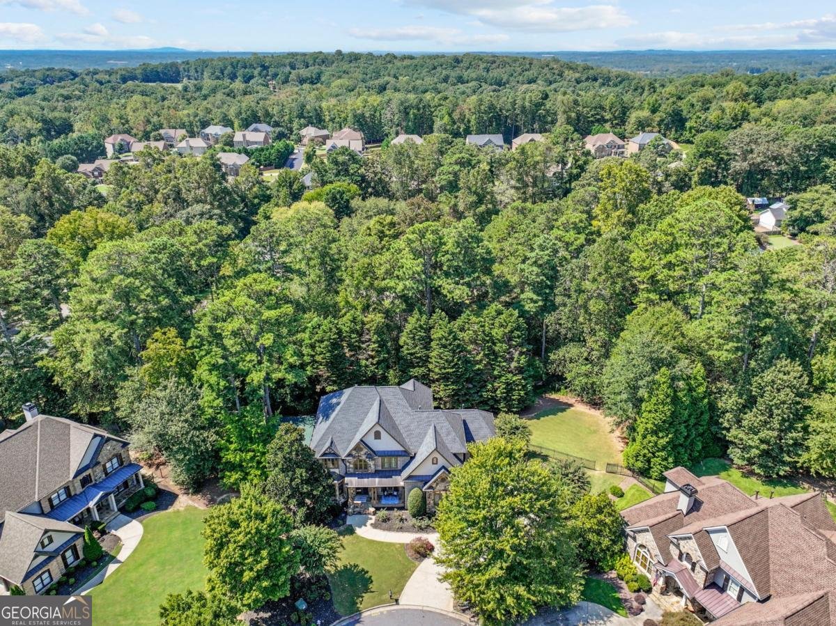 2640 Arbor Valley Drive Cumming - 82