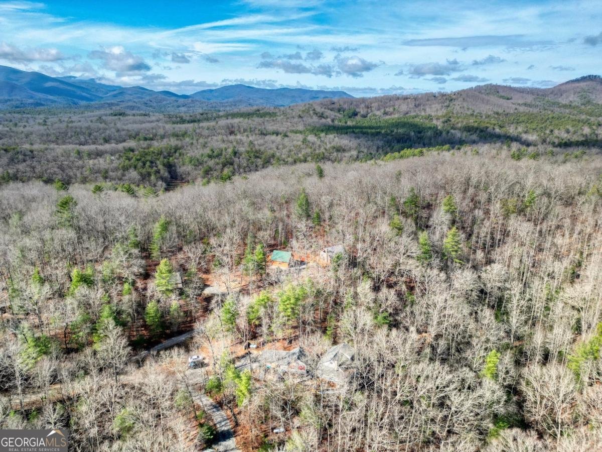 492 Chinkapin Drive Blue Ridge - 46