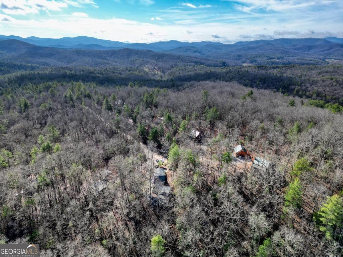 492 Chinkapin Drive Blue Ridge - 47