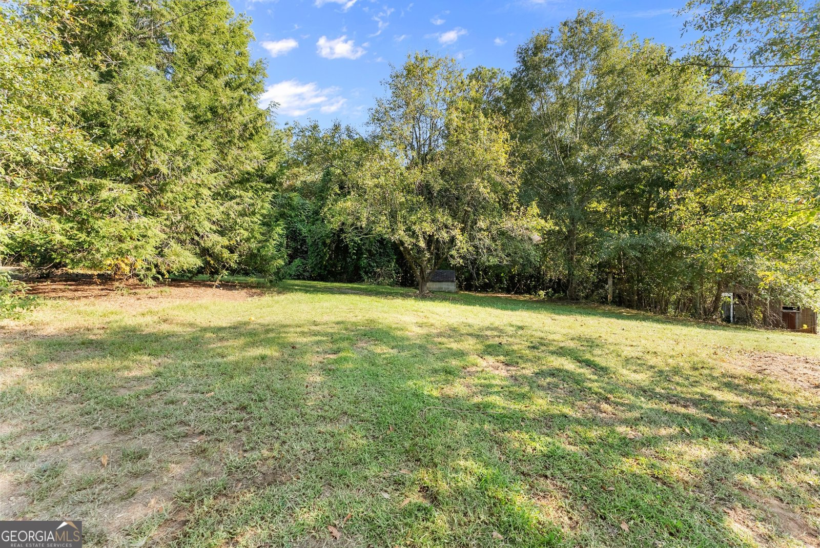 3675 Roy Parks Road Talmo - 39