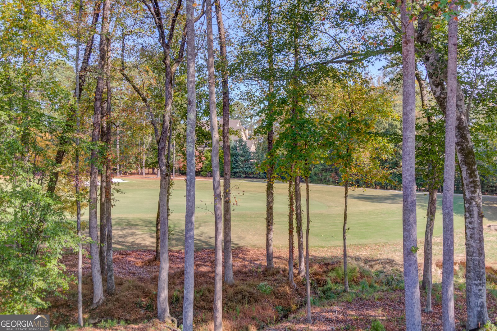 4635 Whitestone Way Suwanee - 9