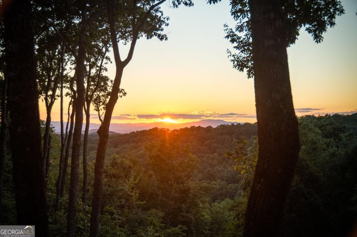 168 Rabbit Ridge Road Morganton - 5