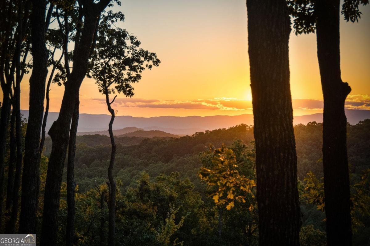 168 Rabbit Ridge Road Morganton - 64