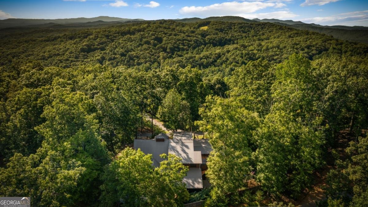 168 Rabbit Ridge Road Morganton - 67