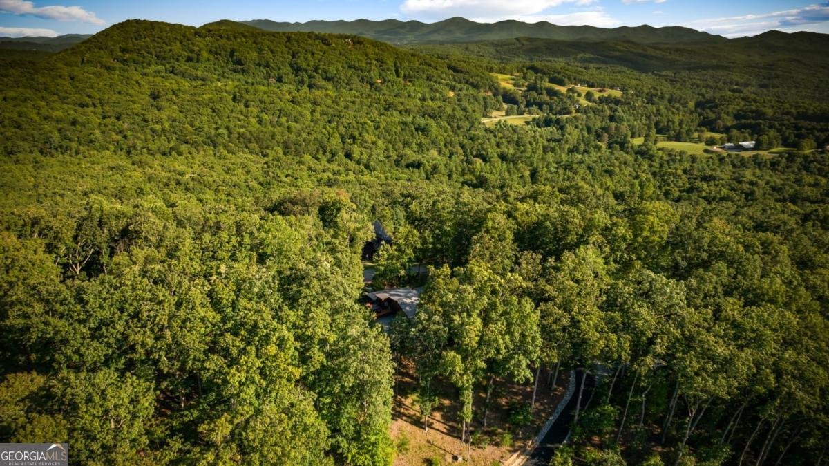 168 Rabbit Ridge Road Morganton - 68