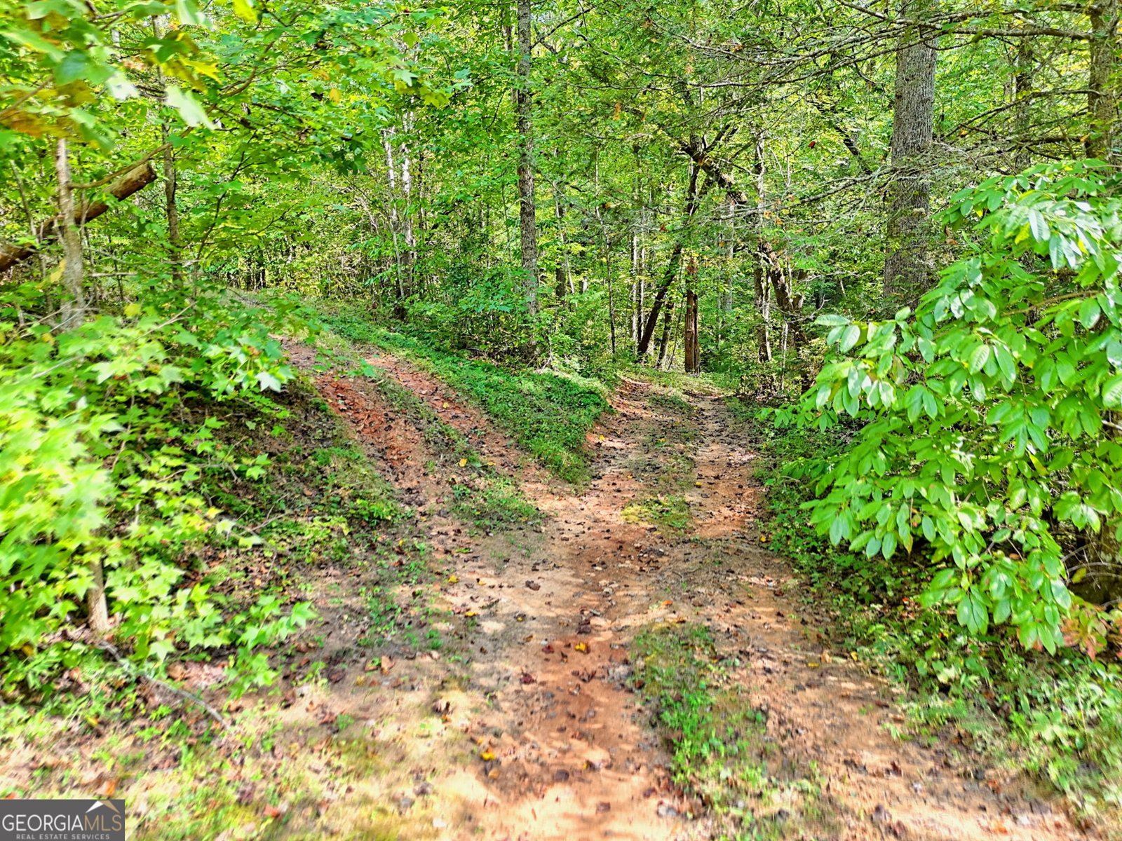 931 Turkey Crest Road Clarkesville - 2