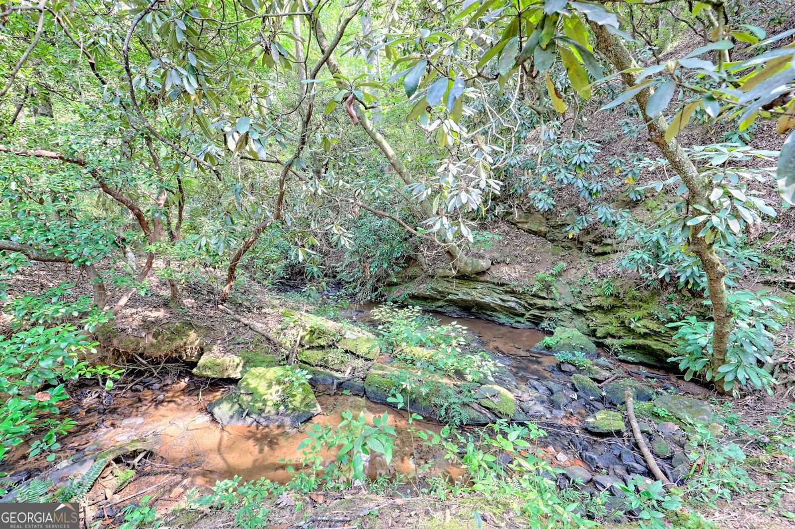931 Turkey Crest Road Clarkesville - 84