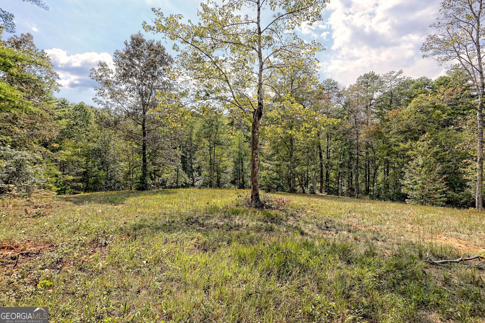 931 Turkey Crest Road Clarkesville - 87
