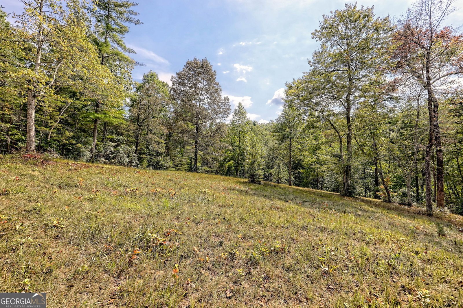 931 Turkey Crest Road Clarkesville - 88