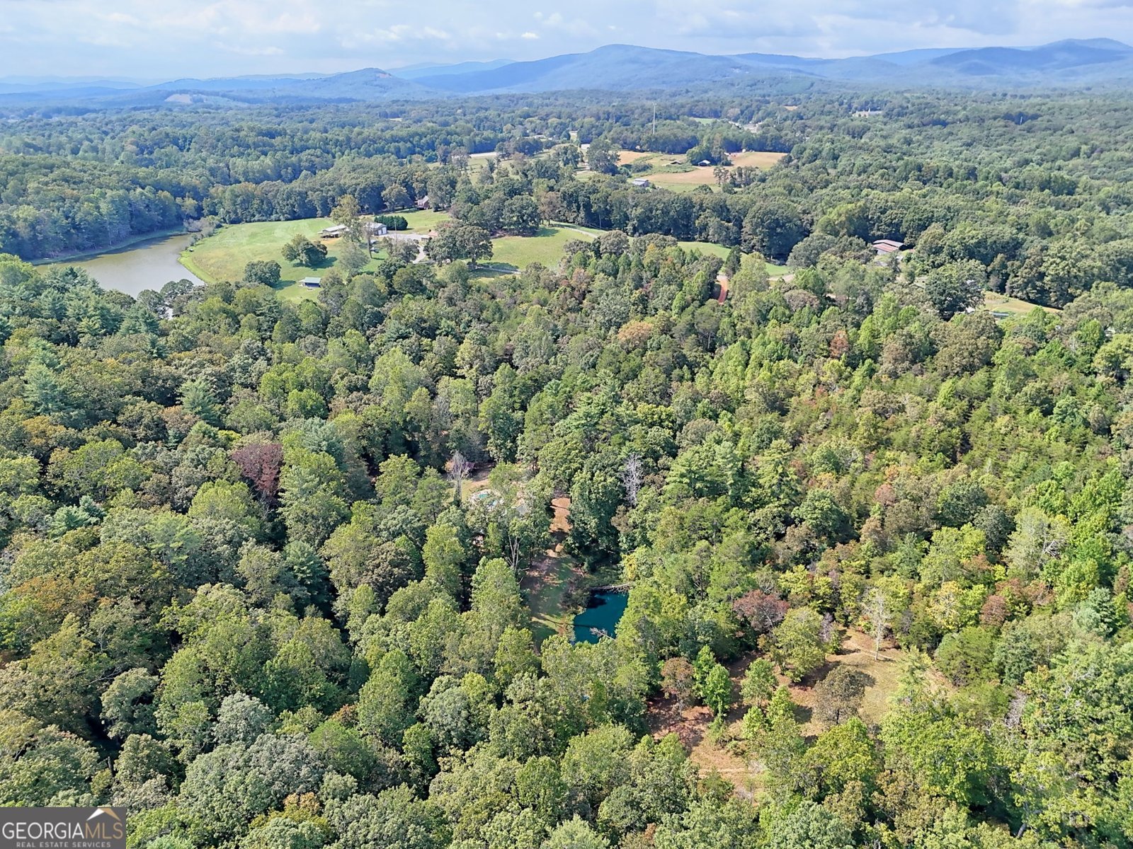 931 Turkey Crest Road Clarkesville - 95