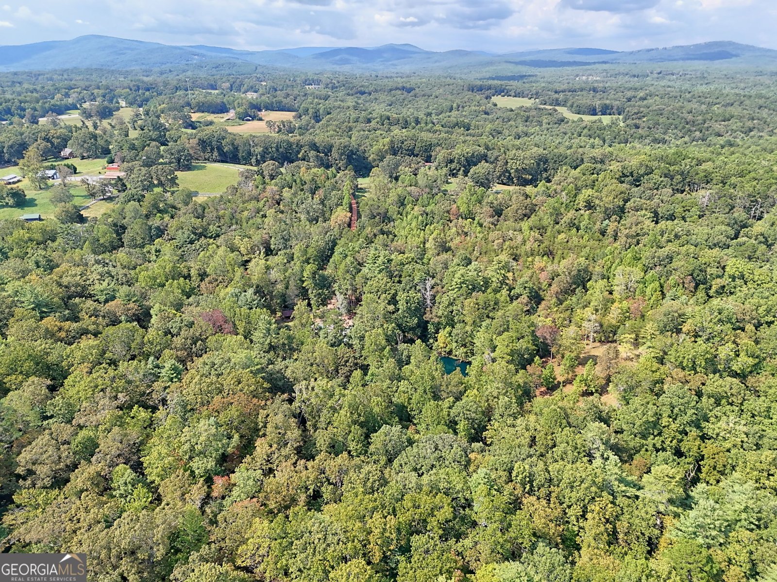 931 Turkey Crest Road Clarkesville - 97