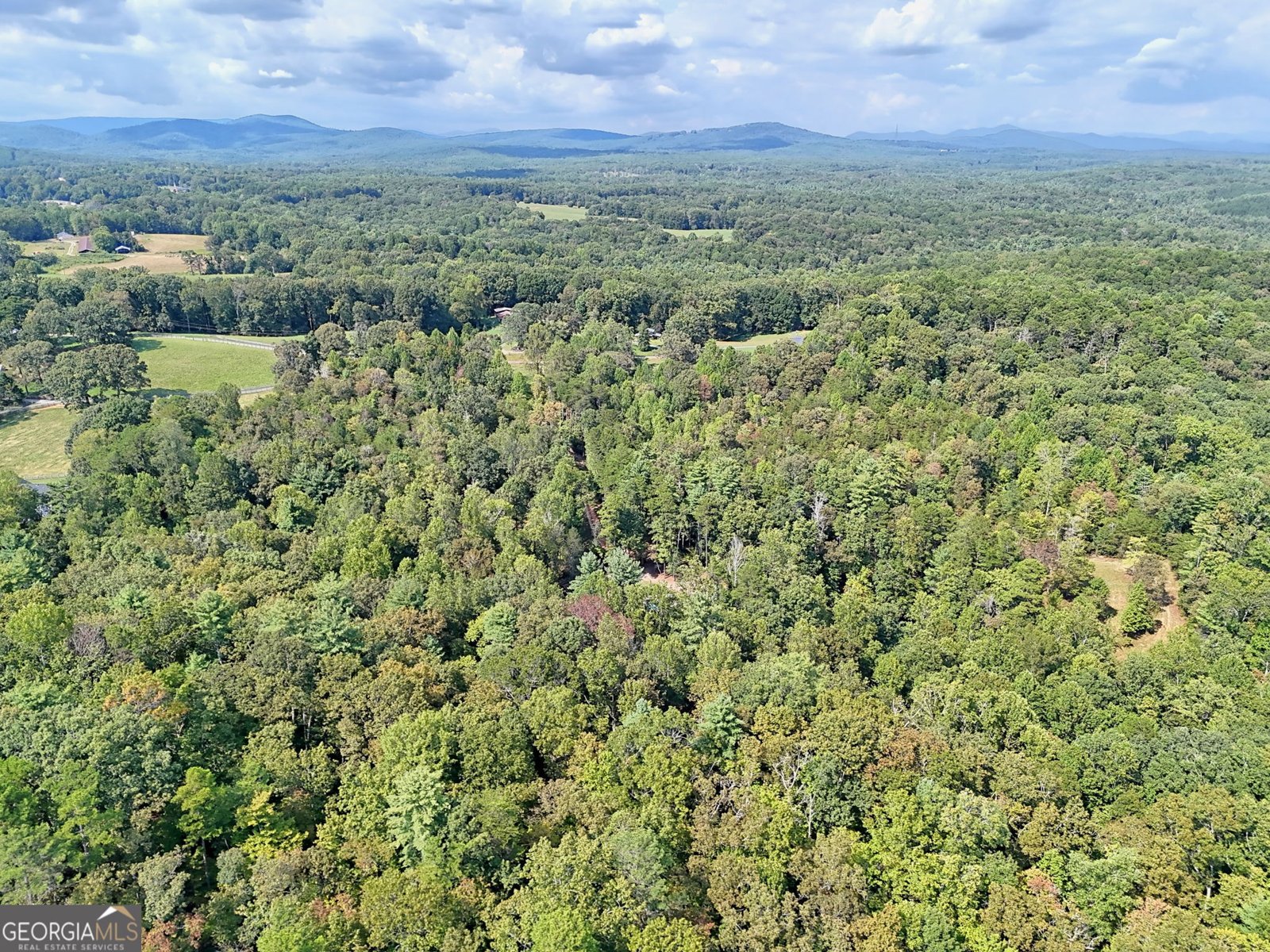 931 Turkey Crest Road Clarkesville - 98