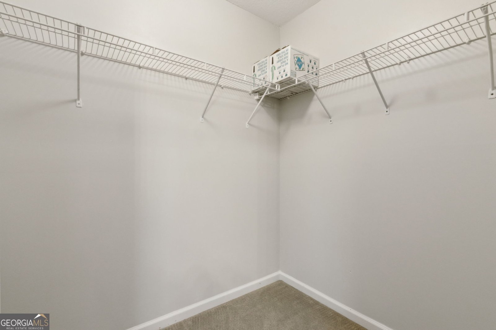 126 Lake Wisteria Court Kingsland - 9