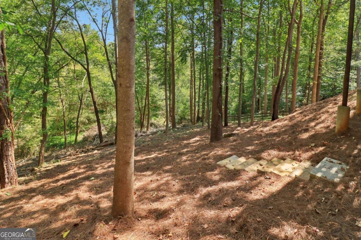 5034 Hickory Hills Drive Woodstock - 27