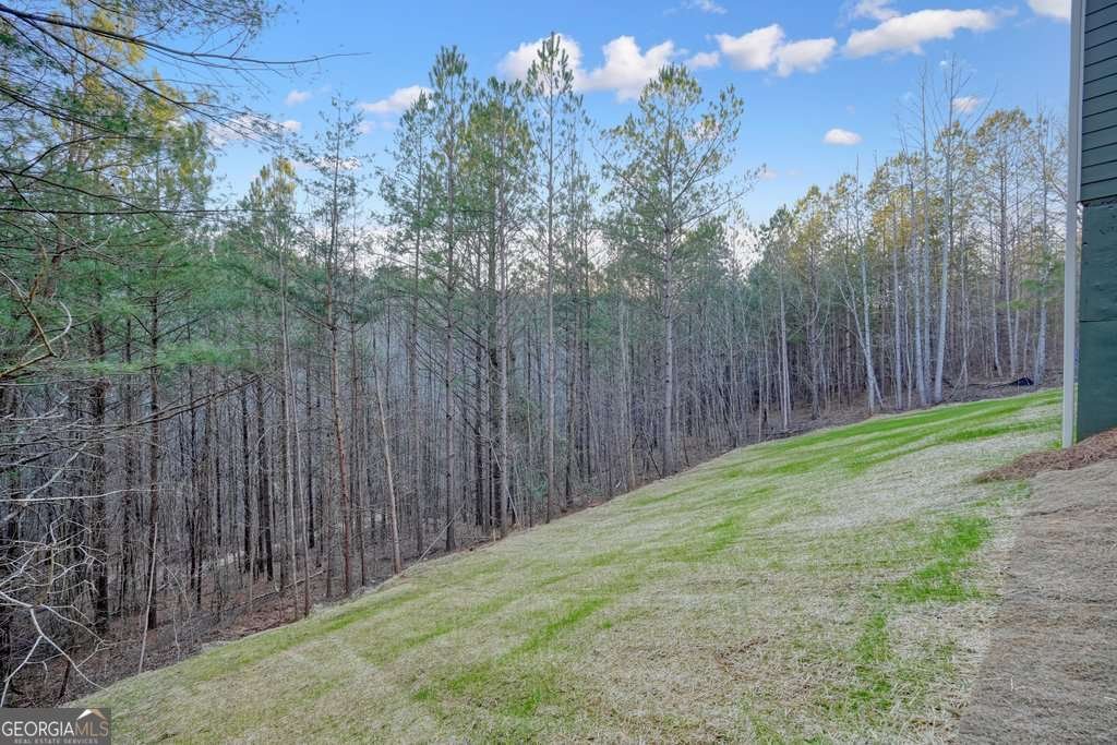 348 Redfield Way Jasper - 32