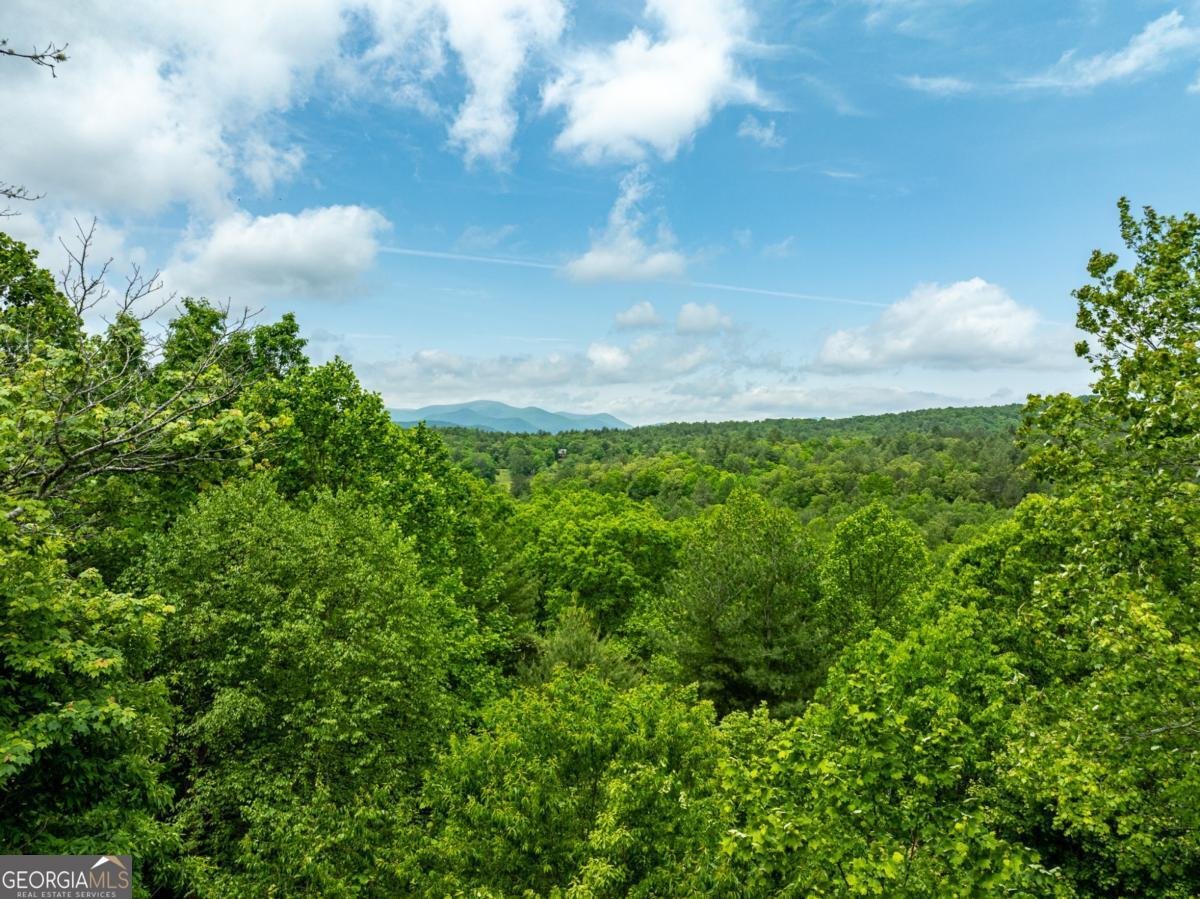 32 Grice Woods Road Blue Ridge - 3