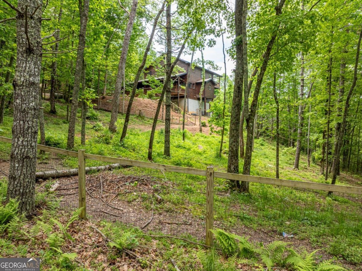 32 Grice Woods Road Blue Ridge - 6