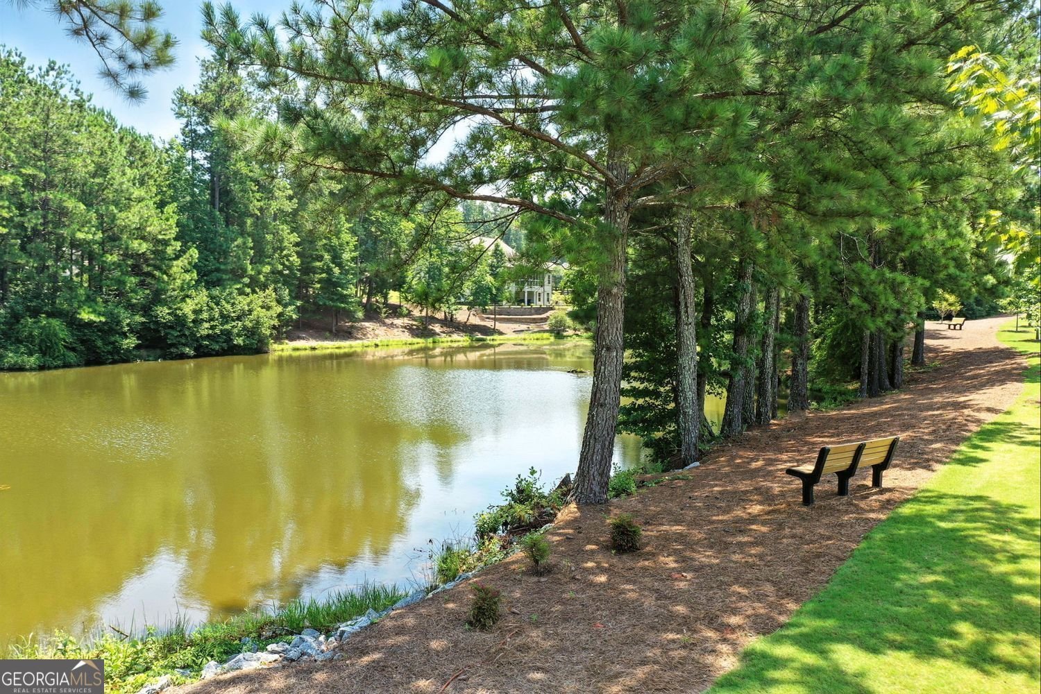 120 Sweetbriar Farm Road Woodstock - 9