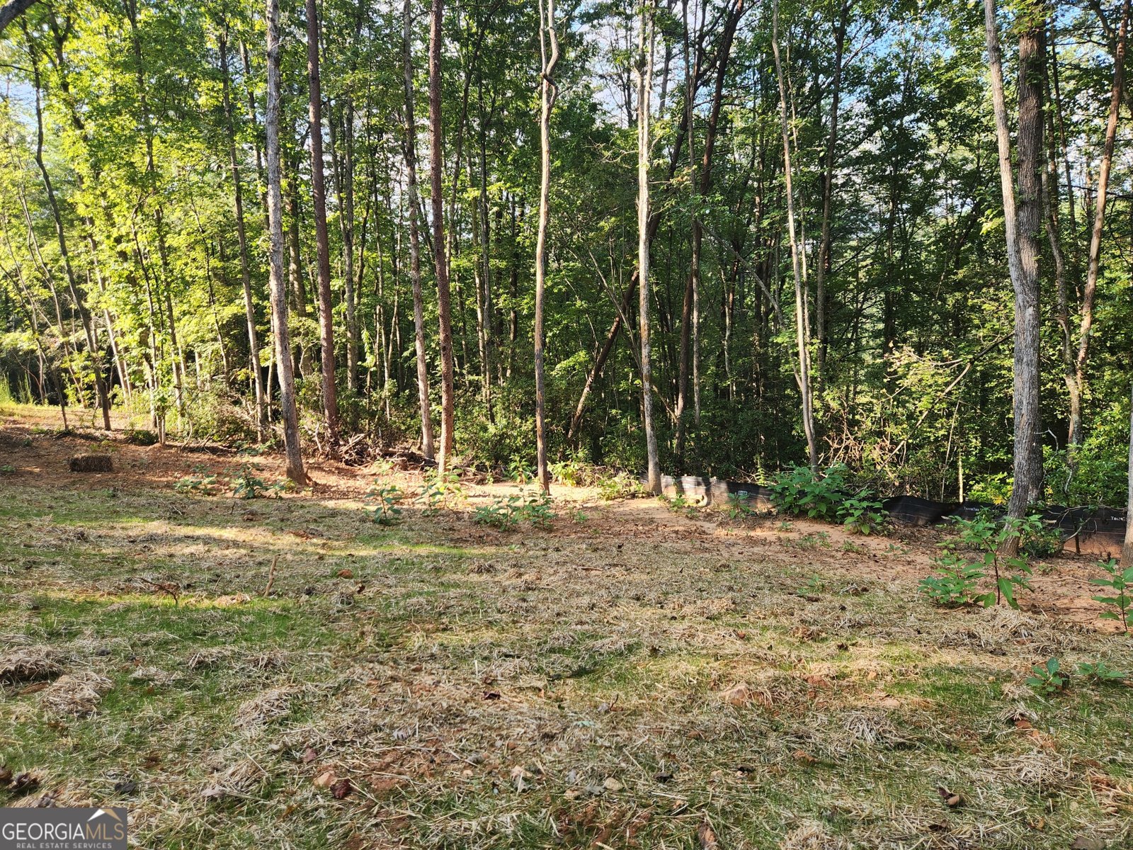 412 Fireside Ridge Drive Dahlonega - 20