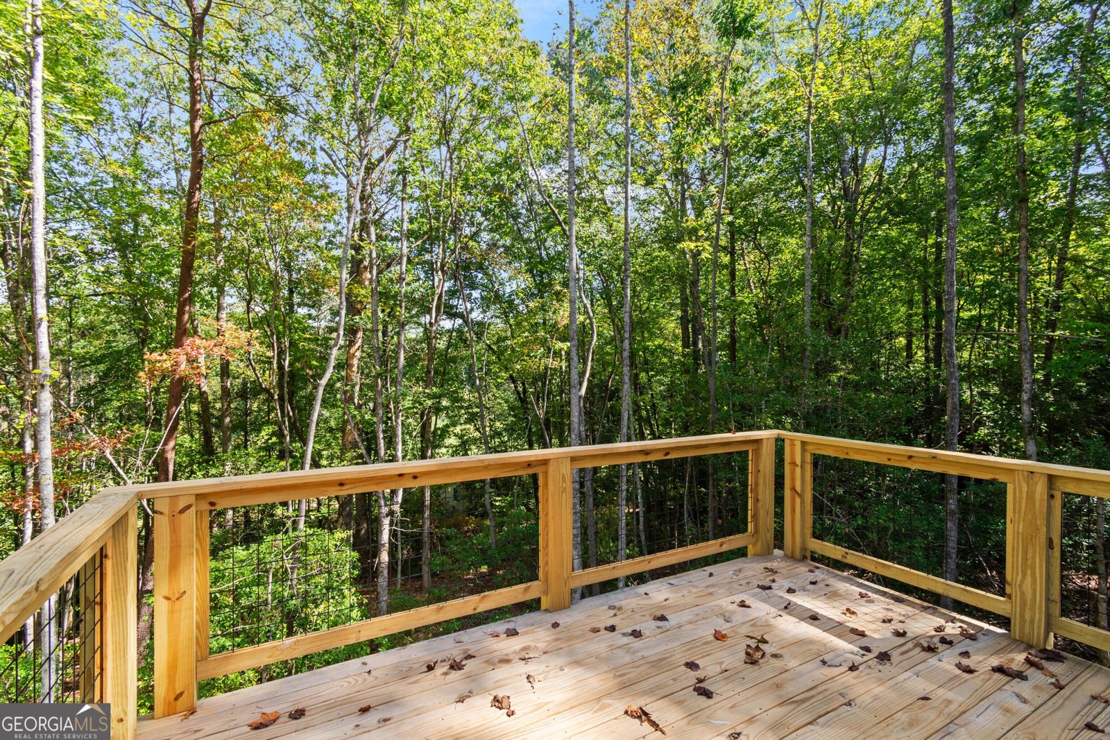 412 Fireside Ridge Drive Dahlonega - 23