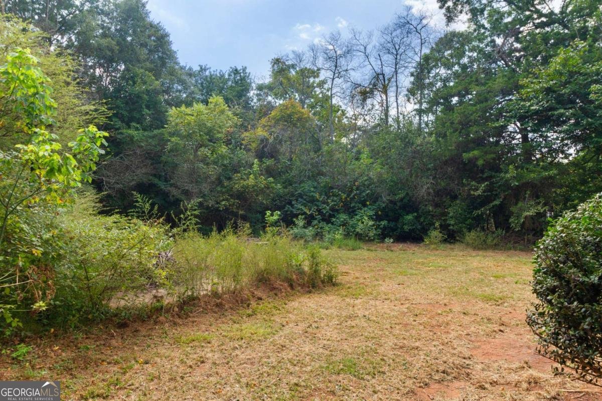 1248 Newton Road Griffin - 22