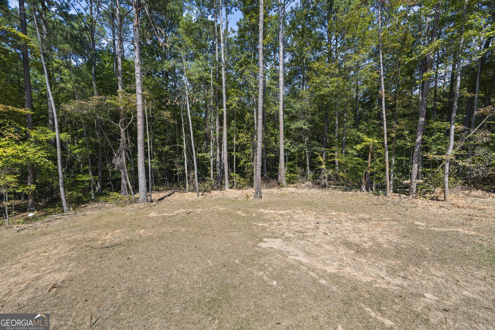 35 Cherry Circle Lexington - 46