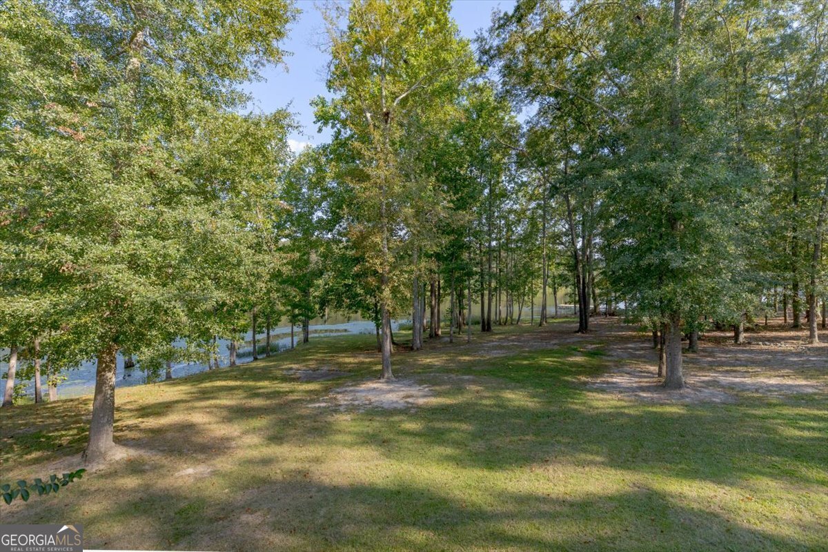 1167 Clopine Lake Road Fort Valley - 1