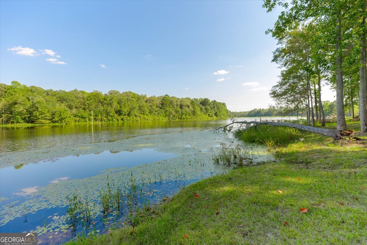 1167 Clopine Lake Road Fort Valley - 11