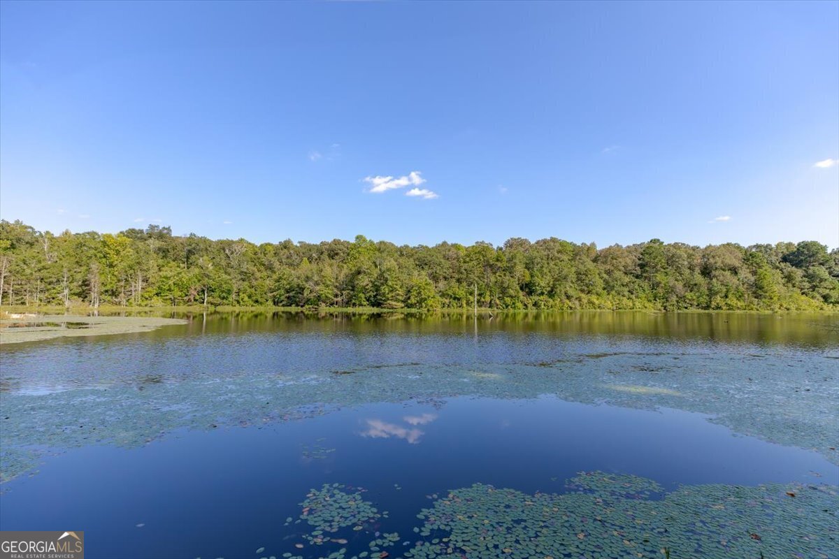 1167 Clopine Lake Road Fort Valley - 12