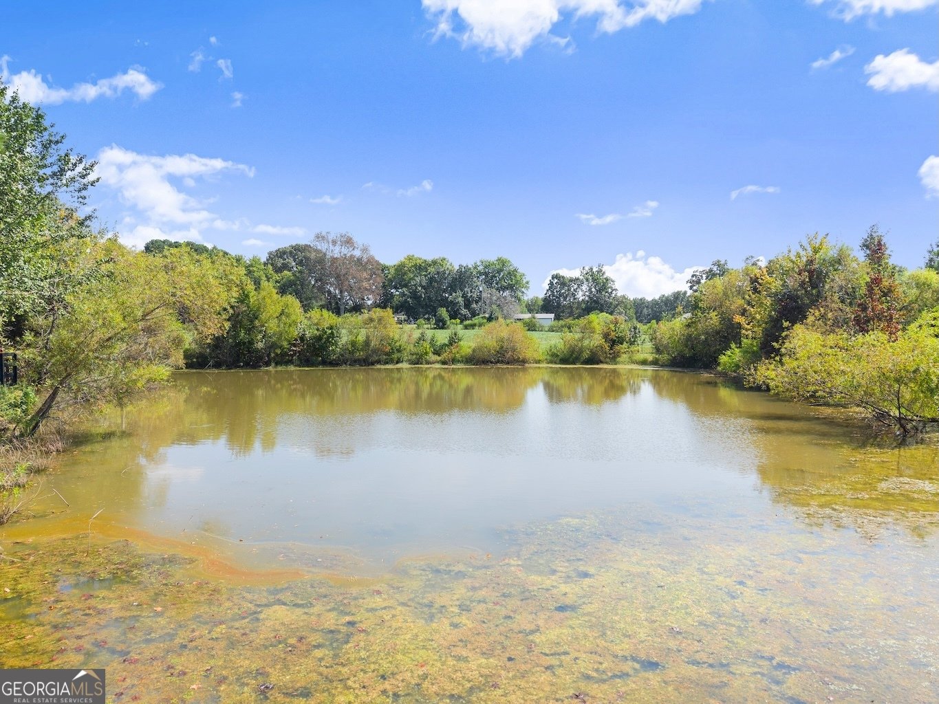 2031 Jones Phillips Road Dacula - 53