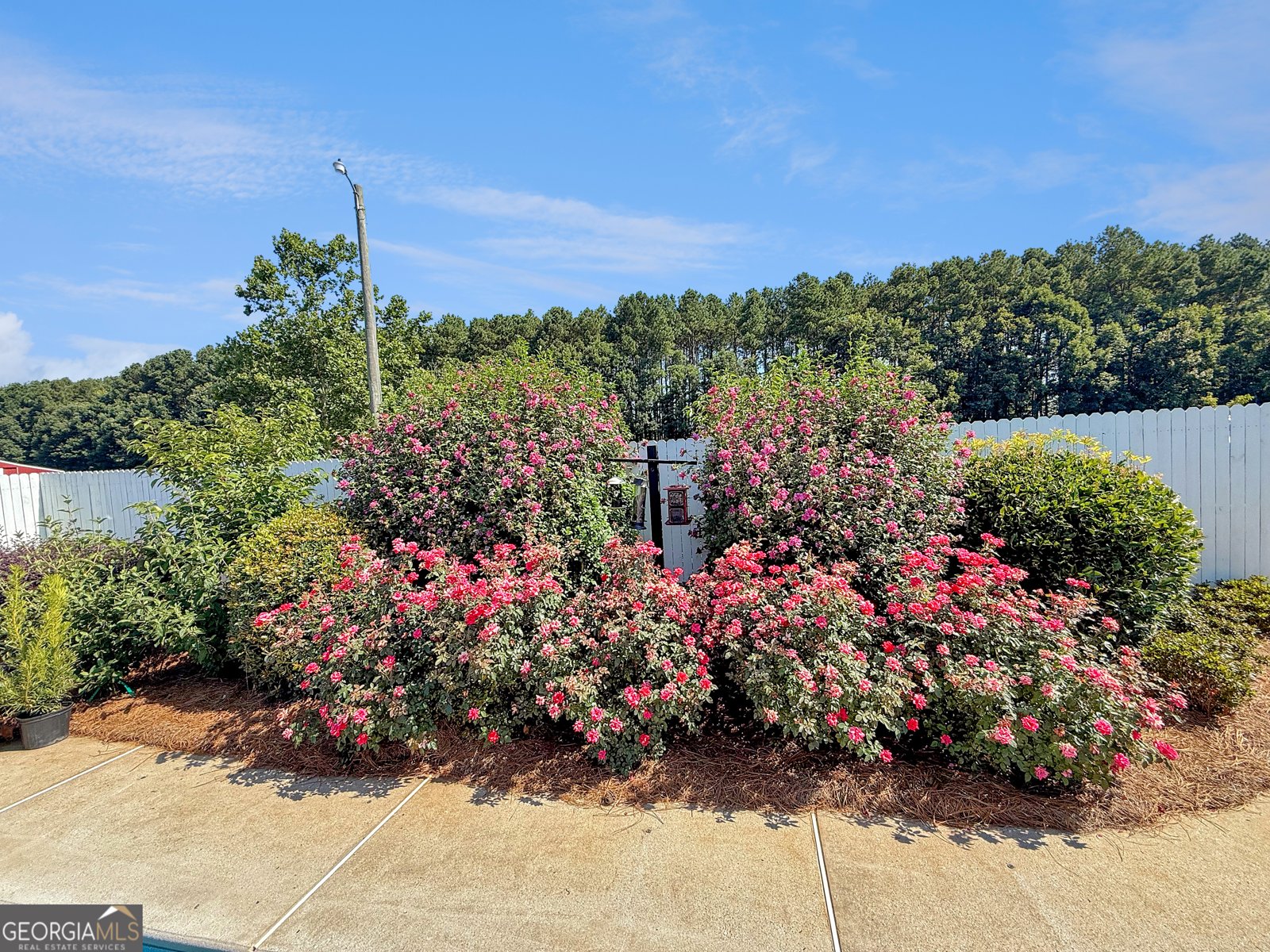 6356 Highway 191 Comer - 55