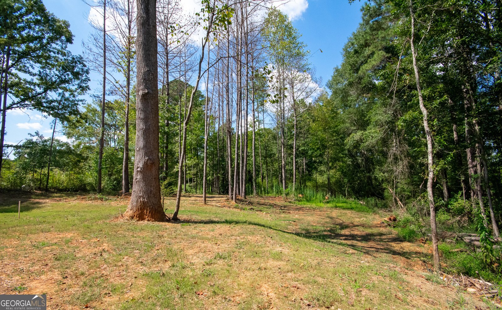 48 Wallace Gray Court Newnan - 35