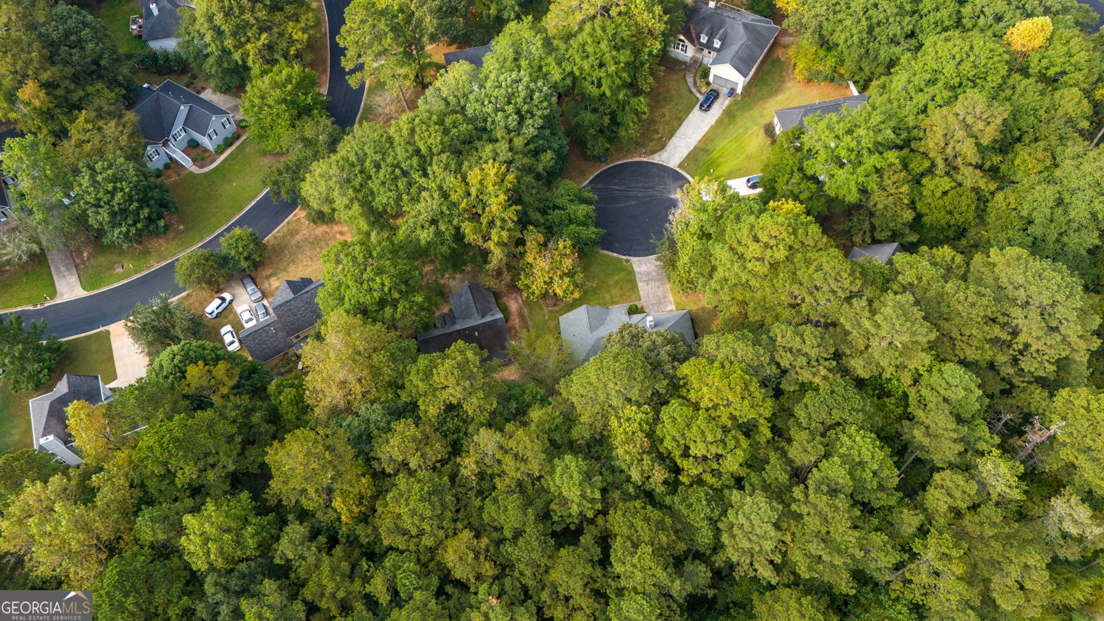 105 Wexford Circle Macon - 6