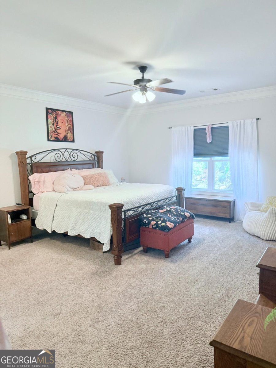 3910 Hamilton Cove Court Cumming - 21