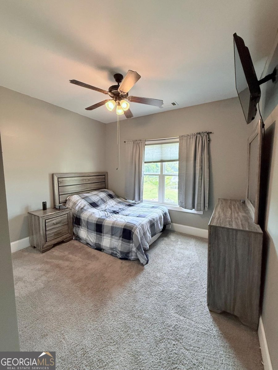 3910 Hamilton Cove Court Cumming - 37