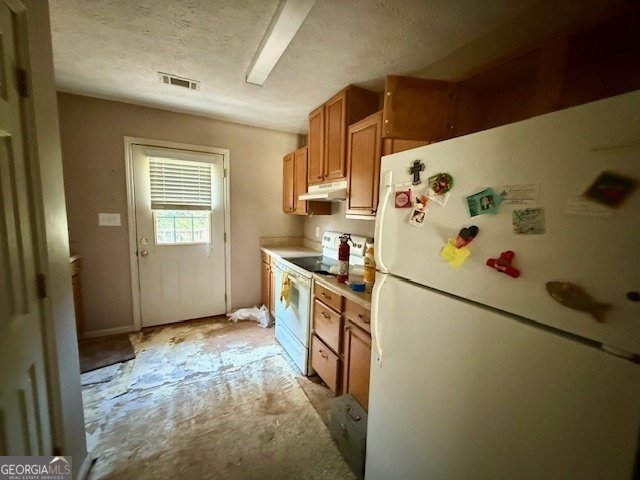 47 Ensign Road Forsyth - 3