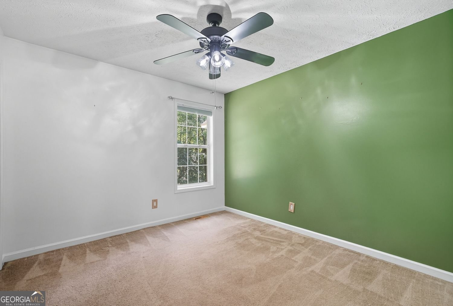 857 Jack Page Drive Canton - 20