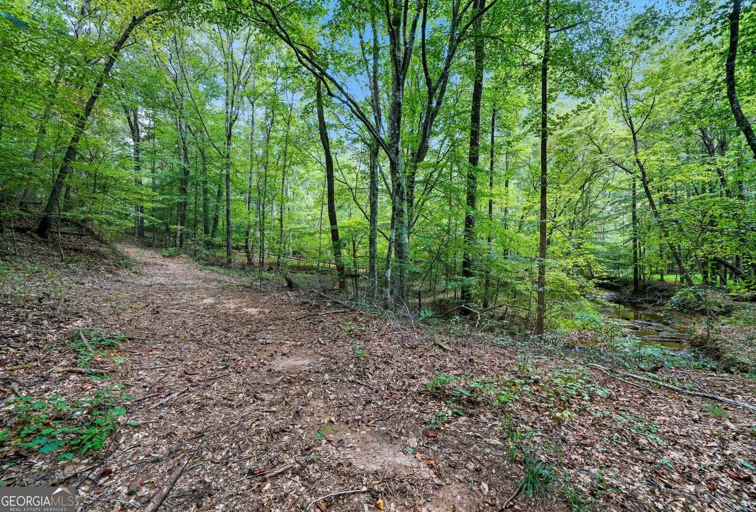 857 Jack Page Drive Canton - 4