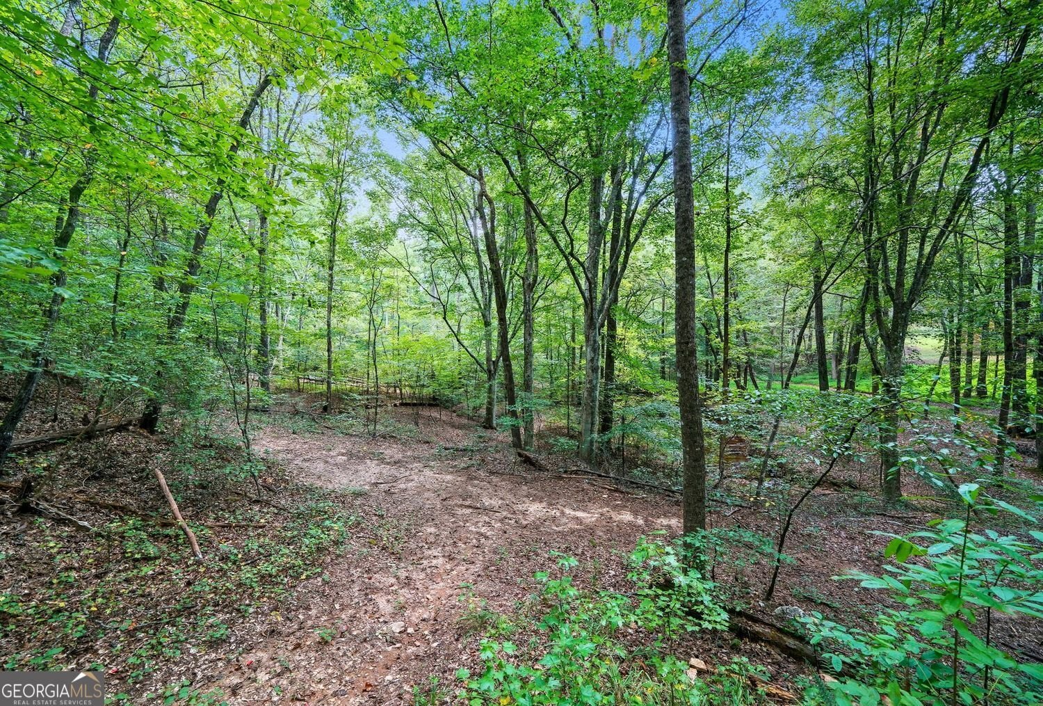 857 Jack Page Drive Canton - 41