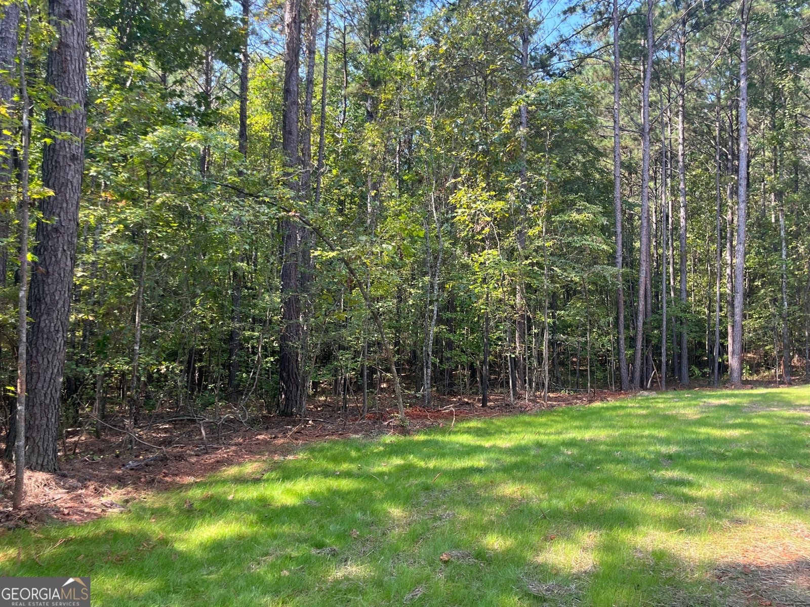 110 Thomas Drive Eatonton - 27