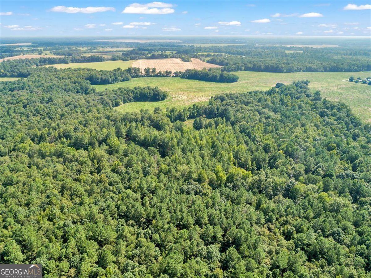 356 Massey-Doss Keysville - 11