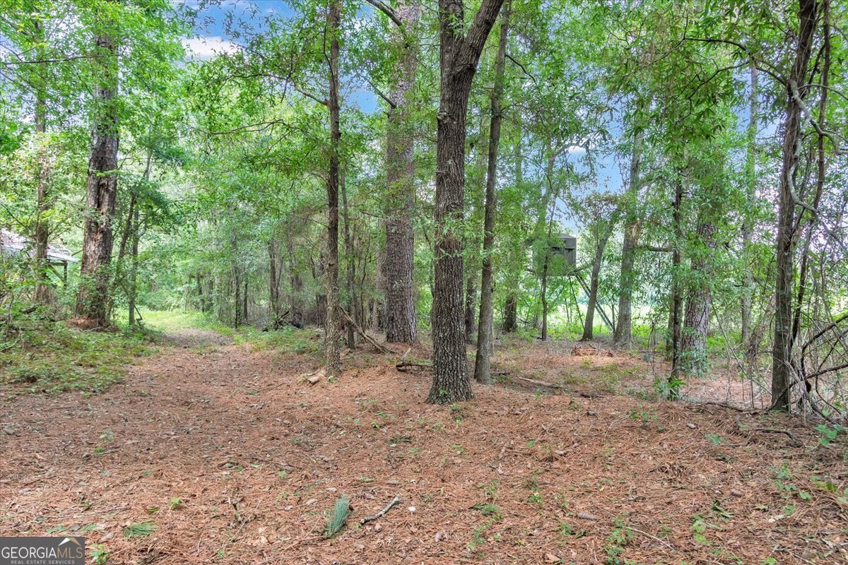 356 Massey-Doss Keysville - 17