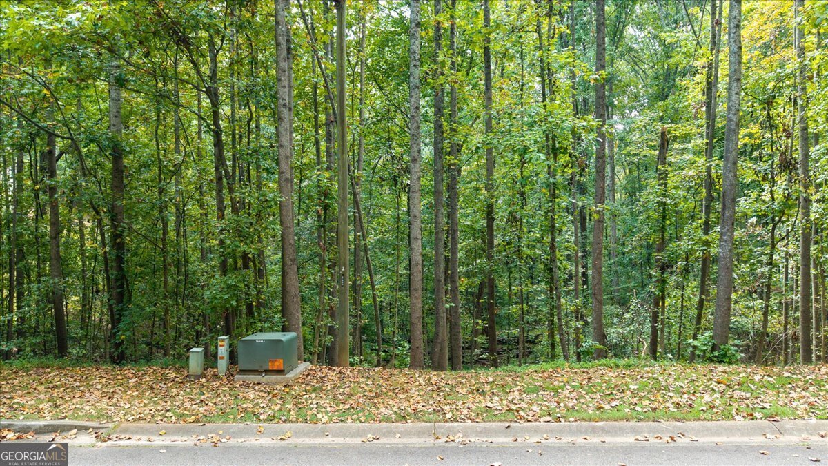 5074 Peach Mountain Circle Gainesville - 47