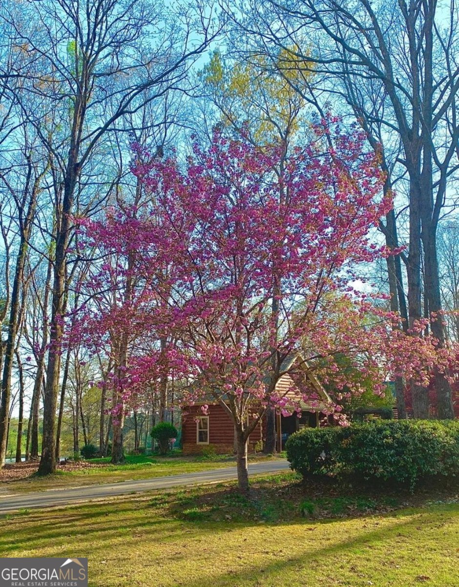 1371 Lipscomb Road Social Circle - 56