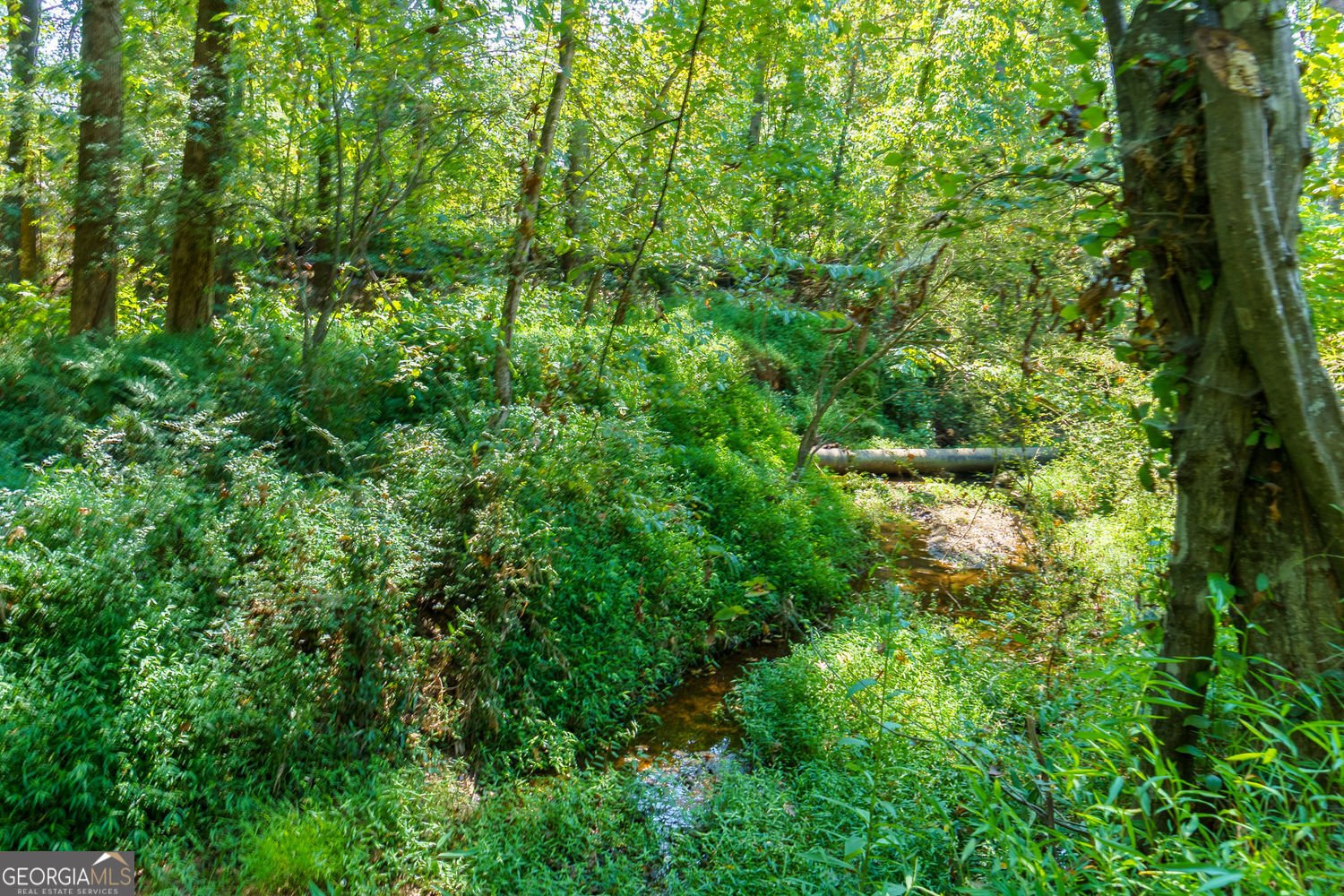 2206 Heritage Trace Drive Marietta - 53