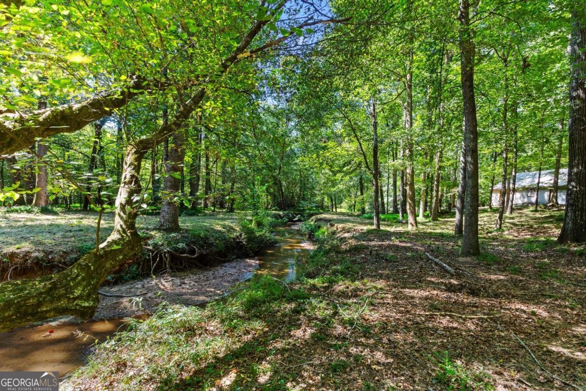 95 Fern Court Stockbridge - 12
