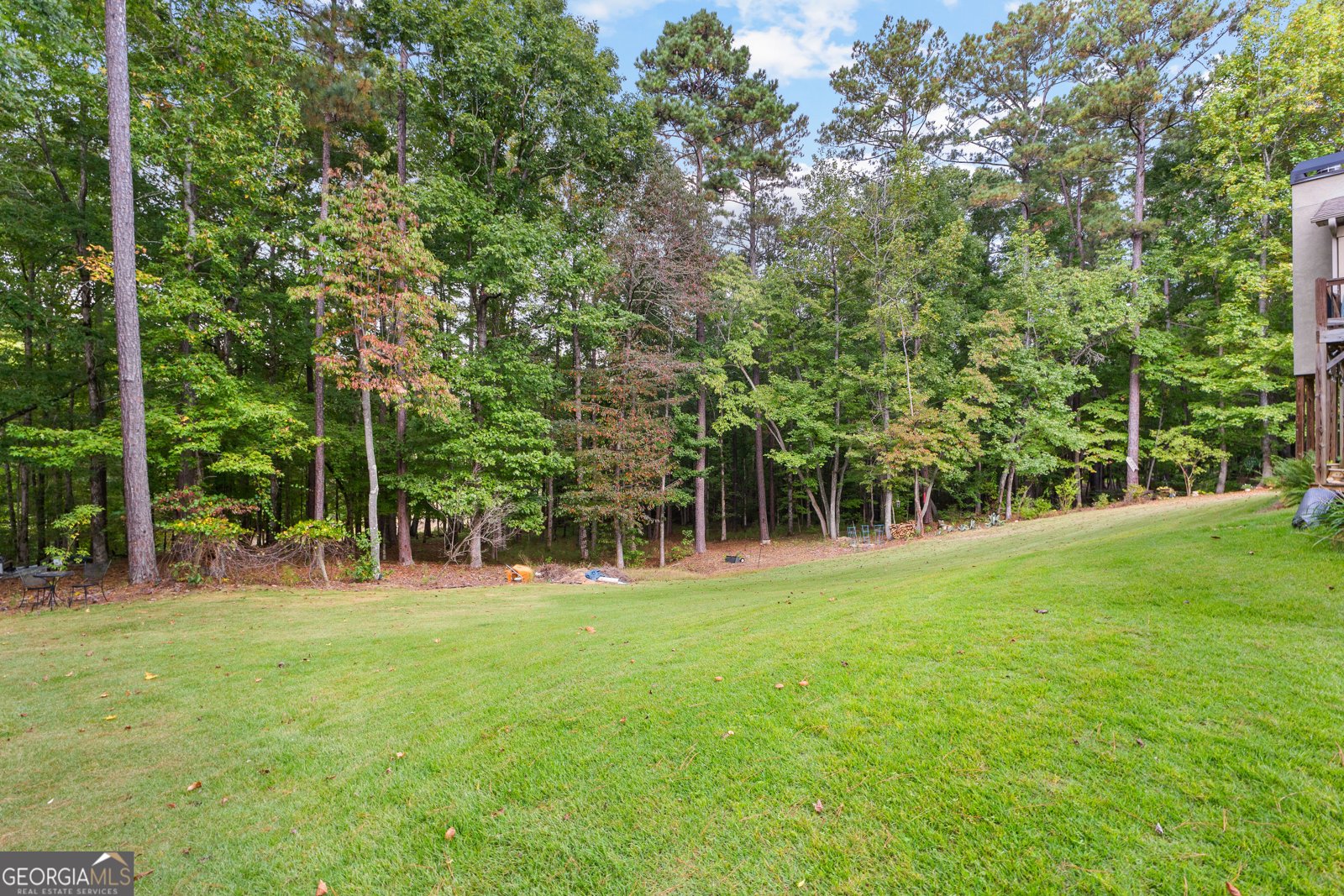 348 Willow Pointe Drive Lagrange - 61