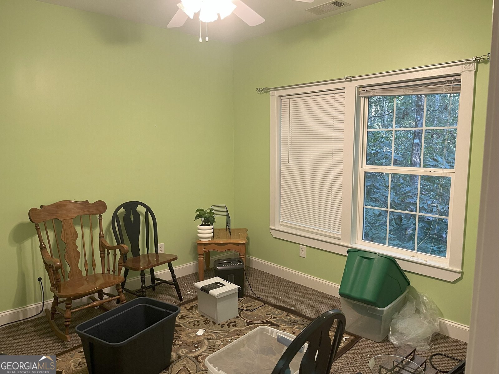 166 Poplar Springs Drive Demorest - 5