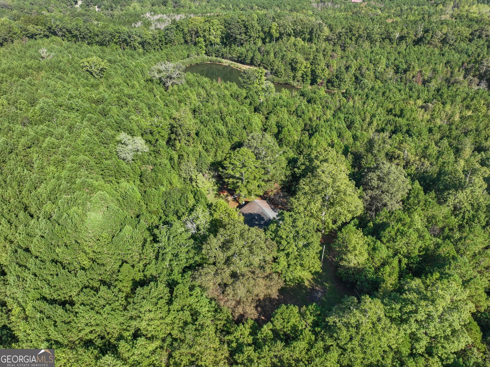1206 Macedonia Road Newnan - 2
