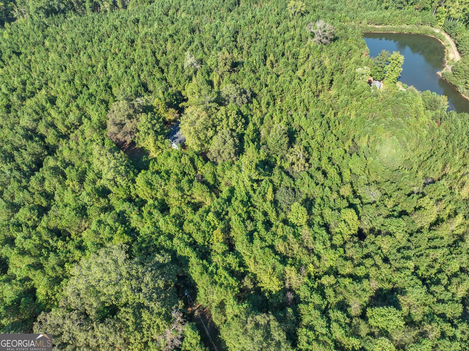 1206 Macedonia Road Newnan - 3